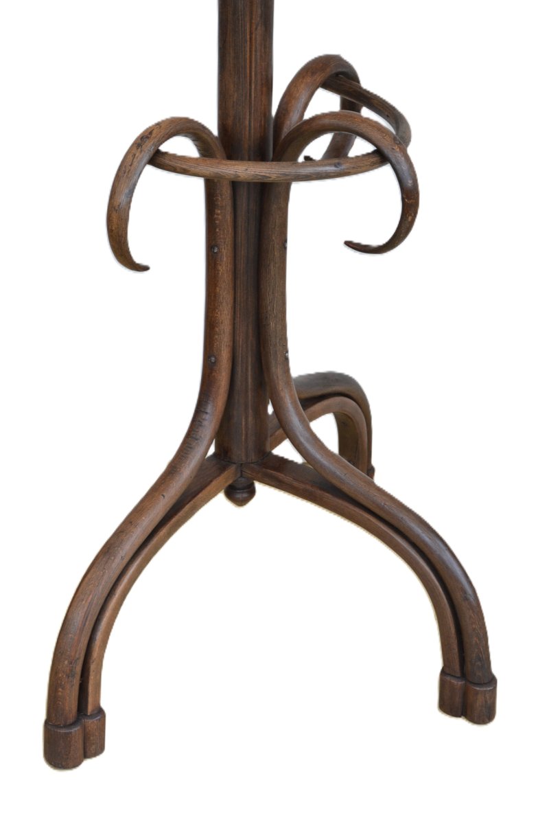 Antique Bentwood Coat Stand, Half Round Design Hall Stand, C1900, Thonet Style - Image 6